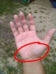 Maybe you would like to learn more about one of these? Sakit Belakang Belikat Kiri Sehingga Mengganggu Pernafasan Pernafasan Tersangkut