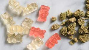 One of the best perks of having legal marijuana dispensaries in denver is the amazing variety of marijuana edibles that are available and at all starbuds locations you can get your choice of 100 mg edibles for $15 including tax on select brands. Cannabis Edibles Are Not As Safe As People Think