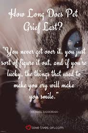 What does it mean when a cat meows, purrs, or kneads? Pin On Graphics