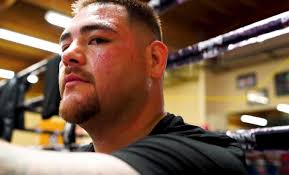 Is ready for his closeup. Boxing News Andy Ruiz Jr Return Pushed Back Due To Ufc Clash The Overtimer