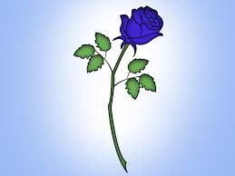 Drawing black white black flower flower drawing white flower flower black white black drawing white drawing decorative symbol ornament decoration decor sketch vintage background element ornate floral classic outline classical retro ornamental artistic plant icon drawn backdrop handdrawn template. Drawing Sketch Small Simple Rose Drawing