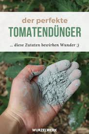 Tomaten Richtig Dungen Wann Wie Mit Welchen Dunger Wurzelwerk In 2020 Tomaten Garten Garten Anpflanzen Unkraut Im Garten