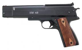 Many homeowners use guns to shoot larger pests like raccoons. Pistol Pest Control Pellpax Blog