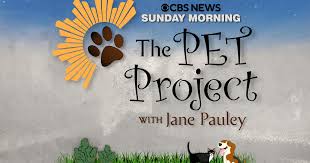 Check latest photos and videos from @nj_exotic_pets at imgtagram online web viewer and downloader. Sunday Morning Primetime The Pet Project Nov 27 Cbs News
