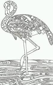 Pin On Coloring