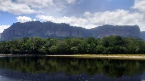 Testimonio de juan carlos murcia perdomo, ex guerrillero de las farc. Canaima A Paradise Poisoned By Gold