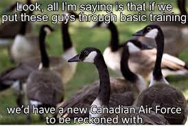 Best 30 Canada Goose Fun On 9gag