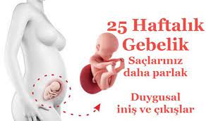 hamilelikte 25 haftalik gebelik bebek kilosu kadinlar kulubu