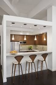 beautiful kitchen design for loft apartment