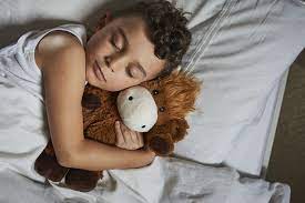 Warmies Highland Cow Soft Toy Wellness Gifts Soft