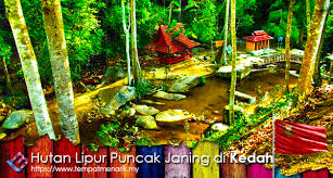 Hanis haikal tempat tempat menarik di kedah for more information and source, see on this link : Hutan Lipur Puncak Janing Tempat Menarik Di Padang Terap Kedah Tempat Menarik