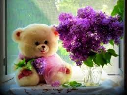 Happy teddy day sweetheart, love you! Happy Teddy Day 2021 Images Wishes Status Shayari Messages Quotes Sms