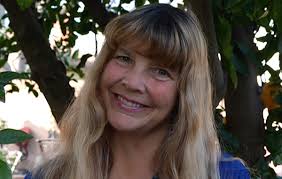 Dan-Brodsky Chenfeld plane