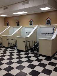 Repinned Self Service Dog Wash Tub Stalls At The Dashing Pooch Dog Grooming Shop Dog Grooming Dog Spa