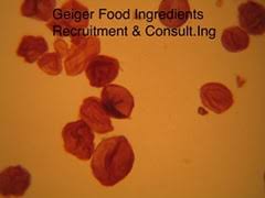 Enter a name to find and verify an email. Personalberatungen Foodjobs De