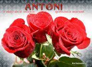 W dniu twojego święta składam ci życzenia aby się spełniły wszystkie. Ekartki Imieninowe Imieniny Ekartki Imienne Ekartki