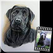 Hier finden sie beispiele verschiedener hundeportraits in unterschiedlichen techniken & größen. Meinen Hund Malen Lassen Hundeportrait Nach Foto Den Eigenen Hund Malen Lassen Hundeportrait Zeichnen Lassen