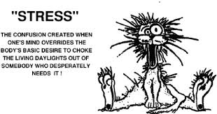 Big Old Goofy World February 2012 Stress Make Me Laugh Stressed Out