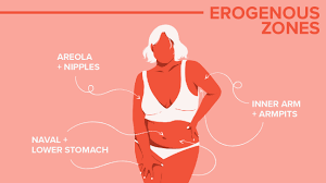 The plethora of photo paints that are on offer provide you with various hues, colours, texture and contrasting designs that add life to the photo and also various pre defined themes which go on well with certain pictures. 31 Erogenous Zones How To Touch Them A Chart For Men Women