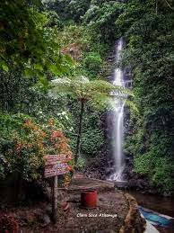 Memiliki tinggi sekitar 25 meter dengan debit air yang merata dan tidak terlalu deras menjadi pemandangan. Review Air Terjun Dlundung Harga Tiket Masuk Misteri Dan Bumi Perkemahan 2020