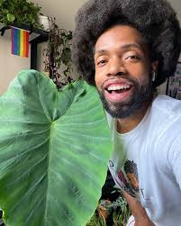 Plantfluencer Stories