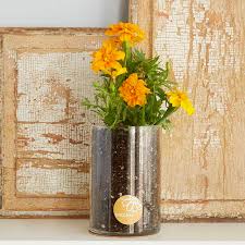 October Birth Flower Gift Ideas Garden Gear Shop