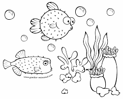 Ikan hias adalah jenis ikan baik yang berhabitat di air tawar maupun di. Gambar Mewarnai Ikan Buntal Contoh Gambar Mewarnai