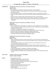 Financial planning job profile and description. Senior Financial Planning Resume Samples Velvet Jobs