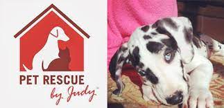 The businesses listed also serve surrounding cities and neighborhoods including ocala fl, altamonte springs fl, and deland fl. Pet Rescue By Judy After Party For Pulse Orlando Oct 8 Shea Barclay Group