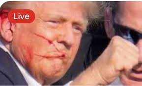 Chicago Action Investors