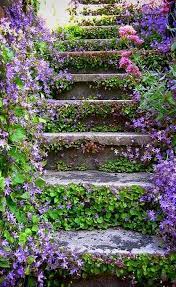 Terminando Um Dia E Comecando Outro Beautiful Gardens Beautiful Flowers Garden Inspiration