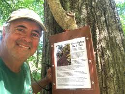 Camping Along the Old Bison Trail