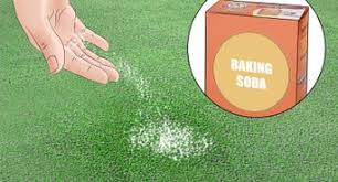 The best indoor dog potty system doesn't look anything like a human you should know that every dog potty will require cleaning to keep it free from odor. 3 Ways To Clean Artificial Grass Wikihow