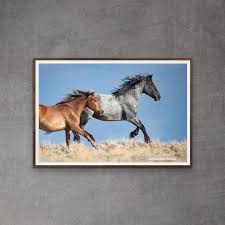 wild horse photography wild horses running print running etsy wild horses photography wild horses running horses