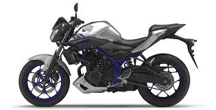 大都会のチーター ヤマハ mt 03 mt 25 発売 えん乗り ヤマハ カスタムバイク チーター