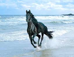 images?q=tbn:ANd9GcRgUlk4Ix1IYpLpULs3pPzGdQQVn5PvI_jQgA9RTgF_-xNj3Yho