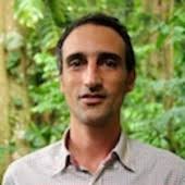 Why Zambia has not benefitted from its rosewood trade with China