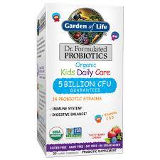 Kid S Garden Of Life Dr Formulated Organic Probiotic Daily Chewables Berry Cherry 30ct Probiotics Kids Probiotics Organic Kids Products