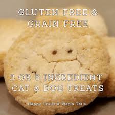 Guaranteed to be cheaper (and probably better) than the pet store stuff. 3 Ingredient Egg Free Cat Treat And Homemade Vegan Dog Treat