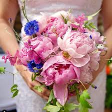 Check spelling or type a new query. Alaska Peony Cooperative The Flower Podcast