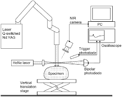 Examples of laser tattoo removal results with the astanza trinity laser. The Experimental Setup For Monitoring The Laser Tattoo Removal Process Download Scientific Diagram