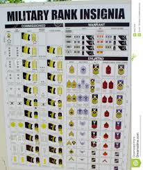 military rank insignia chart editorial stock photo image