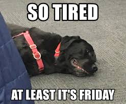 Sweet friday meme for kids. Top 18 Its Friday Meme Cobra Kai Quotes Health Quotes Motivation Funny Memes Memes