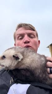 @RossCreations animal abuse and sick “prank” #animals #cancelled #prank  #truecrime #crime