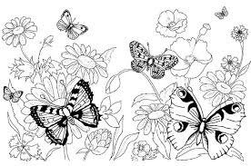 The spruce / wenjia tang take a break and have some fun with this collection of free, printable co. Printable Butterfly Coloring Pages Pdf Coloringfile Com