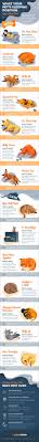 So today i decided to do a cats sleeping positions blog. Meaning Of Cat And Dog Sleeping Positions