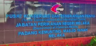 Kemunting beach area is one of the important hawksbill turtle's landing sites in melaka. Turtle Information Centre Melaka Home Facebook