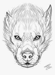 Discover 53 free 76ers logo png images with transparent backgrounds. Werewolf Head Drawing Best Wolf Logo Drawing Face Hd Png Download Kindpng