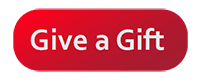 Things not to put in a resume cover letter. Resumes Cvs Cover Letters Office Of Career Services