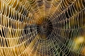 Gbs can cause symptoms that last for as little as a few weeks, or go on for several months. Wat Is Het Guillain Barre Syndroom Instituut Neuropathische Pijn Inp